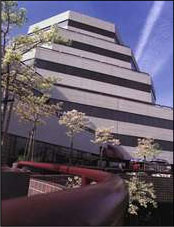 businss office window tinting